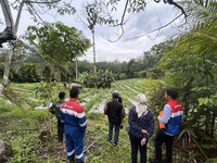 PGN Pagardewa