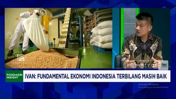 Daya Beli Turun, Bisnis Olahan Kacang Ini Malah Ekspansi Pasar ASEAN - China