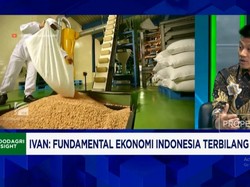 Daya Beli Turun, Bisnis Olahan Kacang Ini Malah Ekspansi Pasar ASEAN - China