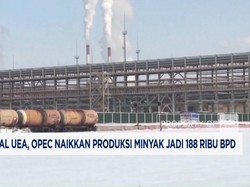 Ditinggal UEA, OPEC Naikkan Produksi Minyak Jadi 188 Ribu BPD