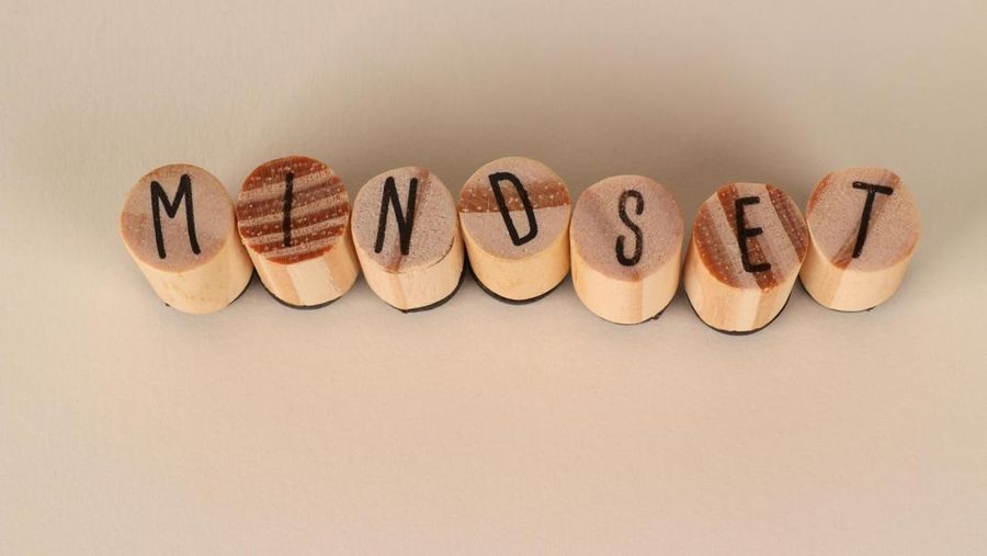 Tulisan “MINDSET” tersusun dari potongan kayu berbentuk silinder dengan latar belakang netral.