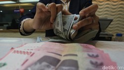 Rupiah Lagi Undervalued, Bos BI Ungkap Biang Keroknya