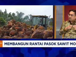 sawit