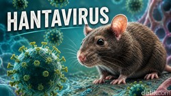 Heboh Tweet 2022 Ramal Hantavirus 2026, Netizen Merinding