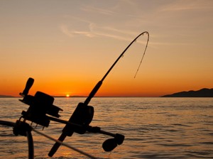Kalender Mancing Mei 2026: Cek Tanggal Gacor, Waktu Terbaik, dan Arusnya!