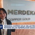 Merdeka Copper Gold Siapkan Private Placement Jumbo