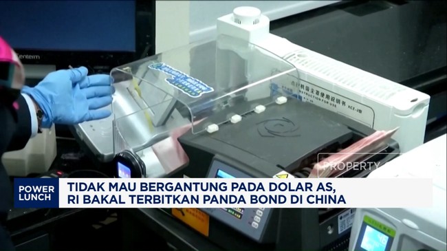 Video: Kurangi "Candu" Dolar AS, RI Terbitkan Panda Bond di China