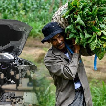 2 Wajah Ekonomi RI: Industri Mesin Melaju Kencang, Tembakau Terpuruk