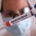 Dalam ilustrasi ini, yang diambil pada 7 Mei 2026, terlihat sebuah tabung reaksi berlabel "Hantavirus positif". (REUTERS/Dado Ruvic/Illustration)
