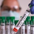 Dalam ilustrasi ini, yang diambil pada 7 Mei 2026, terlihat sebuah tabung reaksi berlabel "Hantavirus positif". (REUTERS/Dado Ruvic/Illustration)