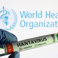 Dalam ilustrasi ini, yang diambil pada 7 Mei 2026, terlihat sebuah tabung reaksi berlabel "Hantavirus positif" dan logo Organisasi Kesehatan Dunia. (REUTERS/Dado Ruvic/Illustration)