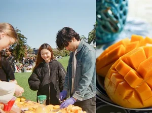 Mangga India Langka, Pria Ini Malah Bikin Pesta Mangga Viral!