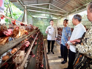 Ibas Dorong Peternakan Desa Jadi Penopang Ekosistem Pangan-Program MBG