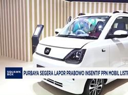 Insentif PPN Mobil Listrik Ditargetkan Meluncur Juni