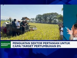 Mulai Transisi Energi, Emiten Jasa Tambang Tak 100% Tinggalkan Batu Bara