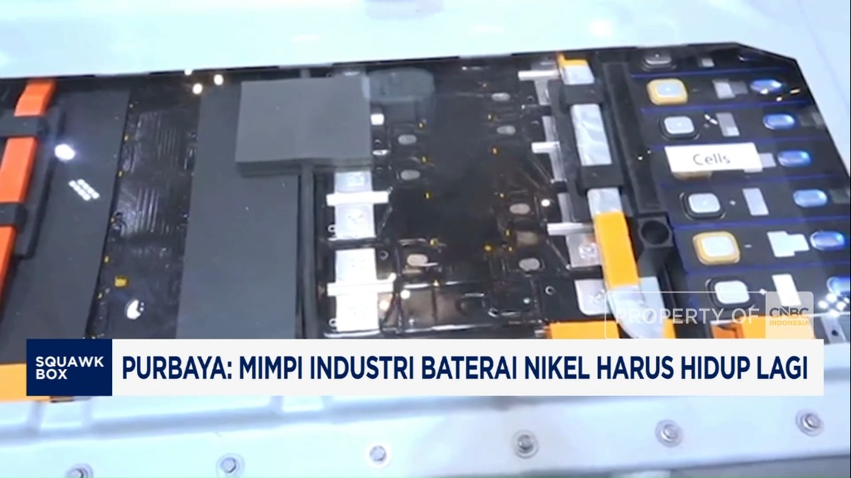 Video: Purbaya: Mimpi Industri Baterai Nikel Harus Hidup Lagi