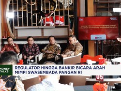Regulator Hingga Bankir Bicara Arah Mimpi Swasembada Pangan RI