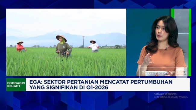 Video: Bergantung Gandum dan Kedelai Impor, Jadi PR Ketahanan Pangan RI