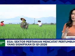 RI Masih Bergantung Gandum & Kedelai Impor, PR Ketahanan Pangan RI