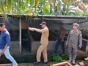 Geger Kandang Babi di Area Gudang Farmasi Makassar Resahkan Warga