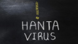 Banyak Anggapan Hantavirus Cuma Konspirasi, Ini Respons Kemenkes RI