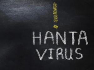 Penumpang Kapal Pesiar Asal Kanada Diduga Positif Hantavirus