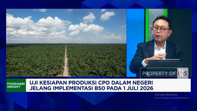 Video: Pengusaha Minta Pemerintah Permudah Peremajaan Sawit Rakyat