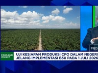 Ada Masalah, Pengusaha Minta Pemerintah Permudah Peremajaan Sawit Rakyat