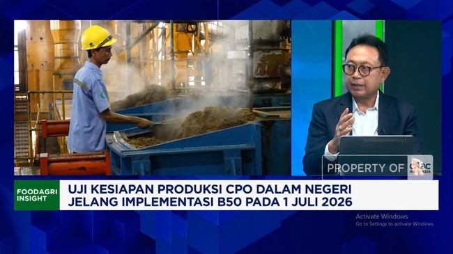 Video: Pengusaha Sawit Ungkap Sebab Kelangkaan MinyaKita