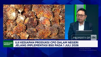 Peremajaan Sawit Rakyat Terkendala Saat B50 Dimulai, Ekspor CPO RI Terancam