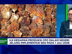 Peremajaan Sawit Rakyat Terkendala Saat B50 Dimulai, Ekspor CPO RI Terancam