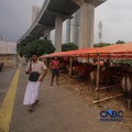 Suasana lapak penjualan hewan kurban di kawasan Jalan Gatot Subroto, Jakarta, Jumat (8/5/2026). (CNBC Indonesia/Faisal Rahman)