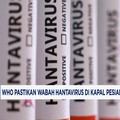 WHO Pastikan Wabah Hantavirus Bukan Pandemi Baru