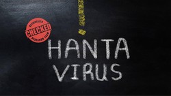 Penumpang Kapal Pesiar Lokasi Hantavirus Merebak Bakal Pulang ke Negara Asal