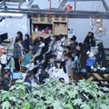 Polri mengamankan WNA di perkantoran kawasan Hayam Wuruk, Jakarta Barat karena terkait dugaan aktivitas judi online (judol). (dok Istimewa)