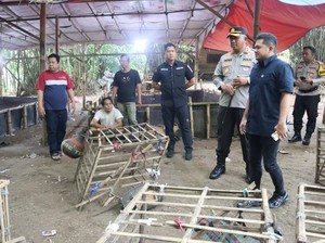 Sabung Ayam di Tangerang Digerebek Polisi, 2 Orang Ditangkap
