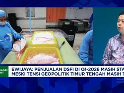 Biaya Kirim Naik 30%, Eksportir Udang Berebut Kapal Kargo Yang Murah
