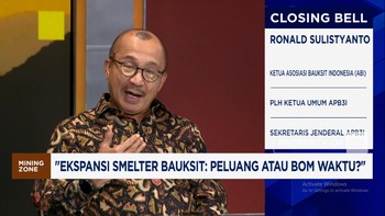 Cadangan Bauksit Terbentur HGU Kebun, Ekspansi Refinery Alumina Terancam?