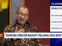Cadangan Bauksit Terbentur HGU Kebun, Ekspansi Refinery Alumina Terancam?