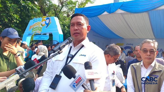 Puncak Tertinggi 2025 Terlewati-Bulog Mau Tumpuk Stok Beras 6 Juta Ton