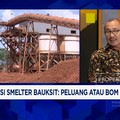 Ekspansi Smelter Bauksit Antara Peluang Vs Bom Waktu, Apa Masalahnya?