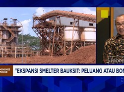 Ekspansi Smelter Bauksit Antara Peluang Vs Bom Waktu, Apa Masalahnya?
