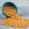 Jagung Pipilan. (Dok. magnific)