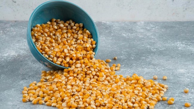 10 Provinsi dengan Produksi Jagung Terbesar, Jawa vs Indonesia Timur