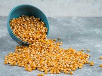 Jagung Pipilan. (Dok. magnific)
