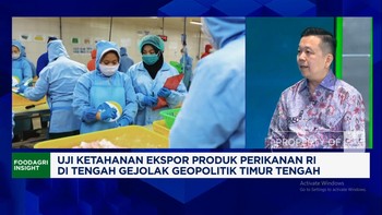 Jurus Eksportir Udang Amankan Pembeli AS & Eropa Tidak Kabur di Tengah Perang