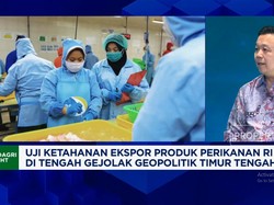Jurus Eksportir Udang Amankan Pembeli AS & Eropa Tidak Kabur di Tengah Perang