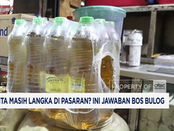 Minyakita Masih Langka di Pasaran? Ini Jawaban Bos Bulog