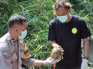 Perkiraan Waktu Kematian 2 Mayat Ditemukan di Sungai Bedog Bantul