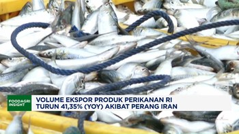 Volume Ekspor Produk Perikanan RI Turun 41,35% (Yoy) Akibat Perang Iran